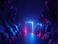 Going digital: Learning from Estonia’s experience in E-Governance and IT on October 21
